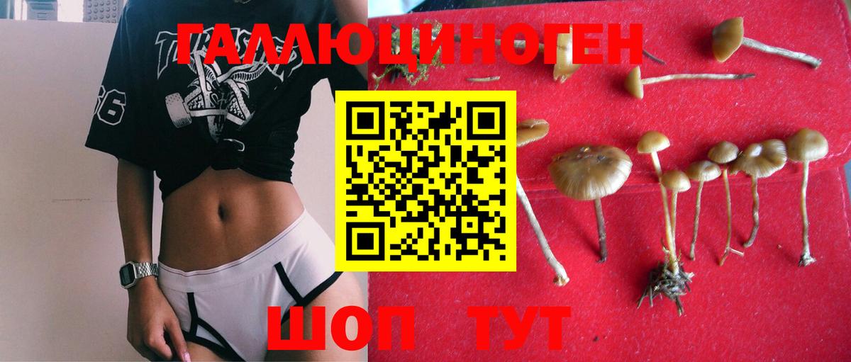Псилоцибиновые грибы MAGIC MUSHROOMS Обь