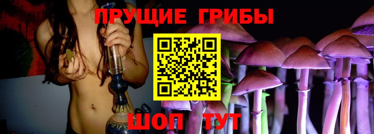 Галлюциногенные грибы Psilocybe  Вход с VPN  Обь 